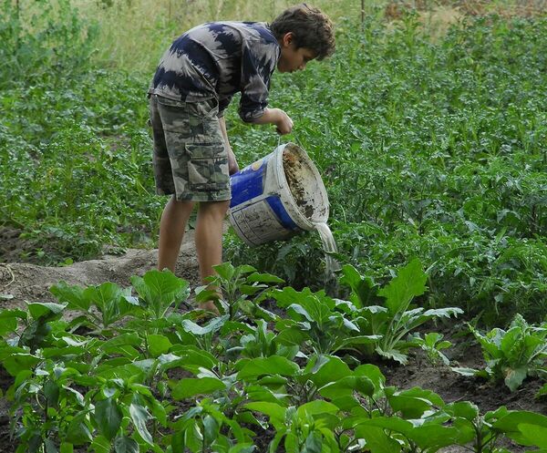 На карманные расходы