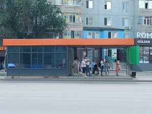 Из бюджета - ни тиына