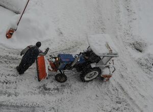 Готовь сани летом