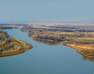 Металлы бы делать  из этой реки