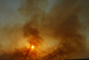 Ветром надуло