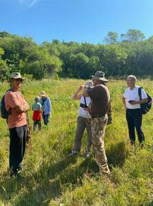 Эх, яблочко...