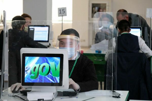 Выявят всю подноготную