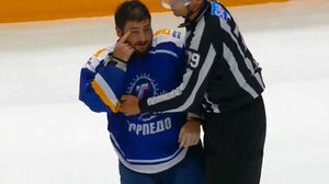 Битва панды с драконом