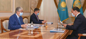 Глава государства принял исполняющего обязанности министра сельского хозяйства Ербола Карашукеева