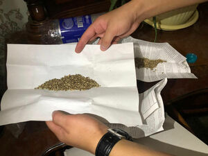 Дури и своей хватало