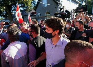 Гравий - оружие антиваксеров