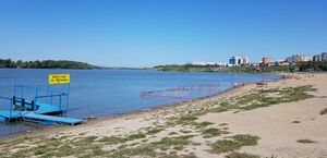 Печальная статистика после жаркого лета