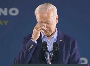 Вспомнил Трампа и перекрестился