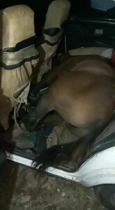 До такого додуматься надо