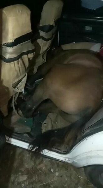 До такого додуматься надо