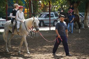 Угостите доктора сахаром!