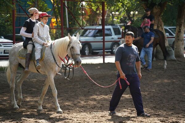 Угостите доктора сахаром!