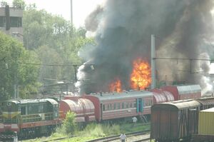 Во всём виноват человек