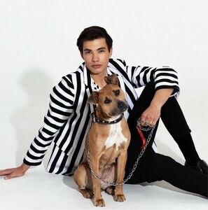 Дорога домой