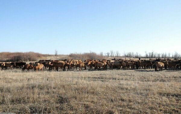 С места - в карьер
