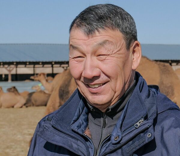 Сыдык Даулетов, верблюдовод: Шубат экспортировать выгоднее нефти!