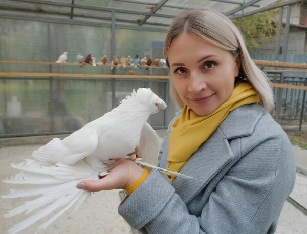 Окрылённые