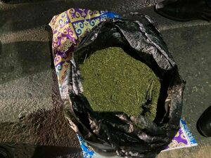 Перекрыли ещё один наркотический канал