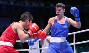 Успешное начало!