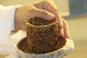 Скорлупа против пластика