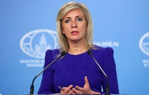 В окружении инфоминных полей