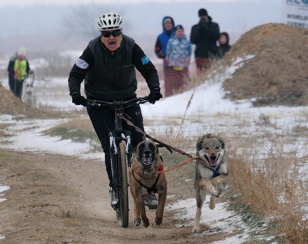 Волка ноги кормят