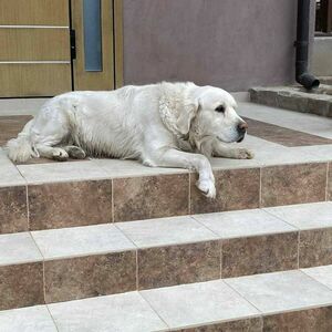 Это просто изверги...