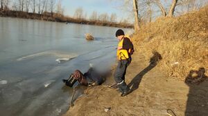 Бессмертные вы, что ли?