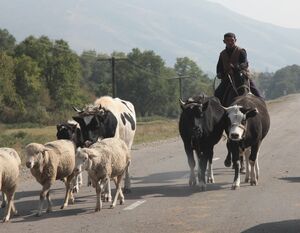 Задержания продолжаются