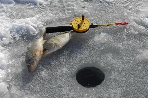 Опасный промысел