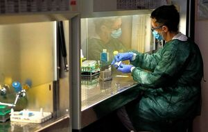 Протестируют в России