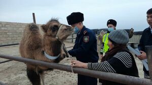 Метка вам  в помощь