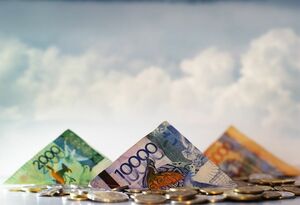 Содрала последнее