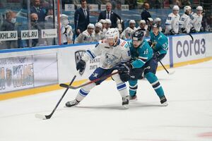 Лучше уж забор красить…