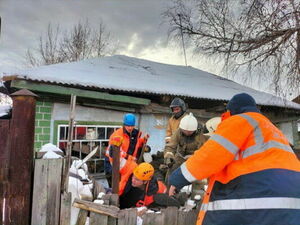 Под крышей  дома своего