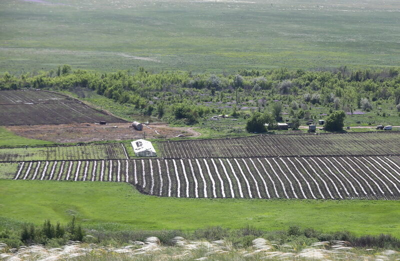 Очень заботливый папа