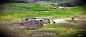 Полезная вещь