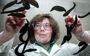 С фейком по жизни