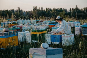Ложка дёгтя  от Минсельхоза