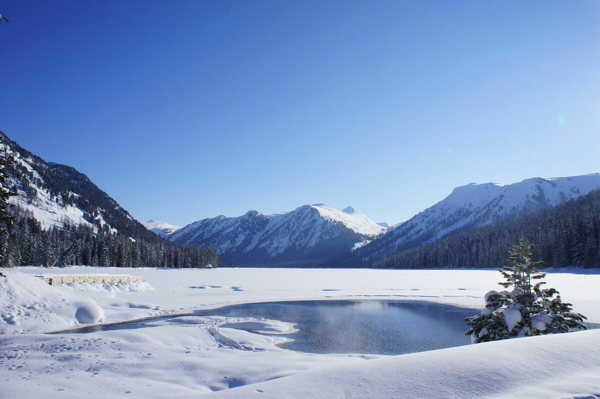 Была ли ёлка?