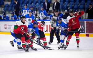 Тёмная лошадка