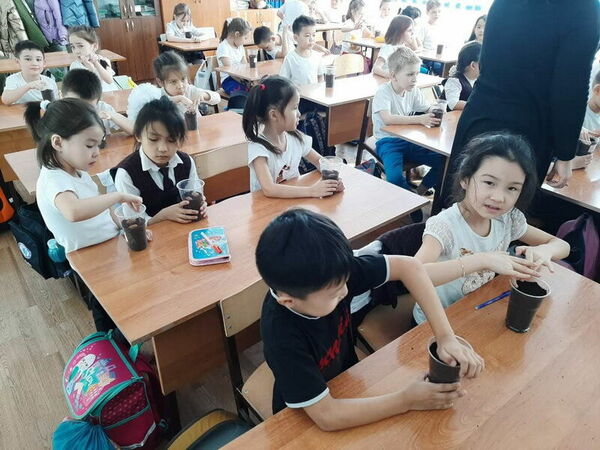 Зри в корень