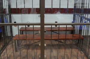 Дамы наступают!