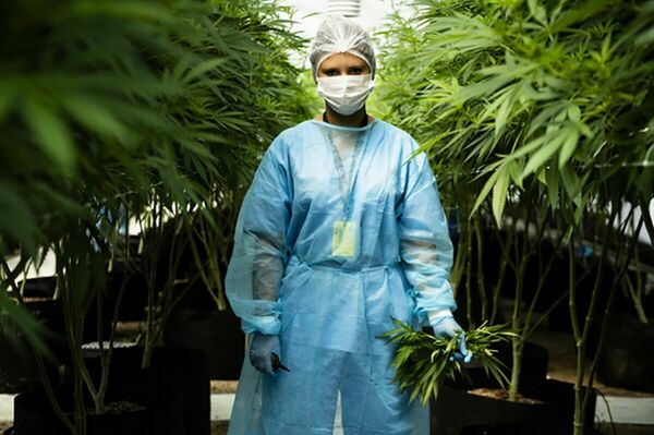 Дурное влияние