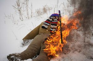 Он же Гога…