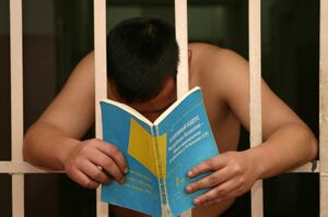 Миллионы за страдания