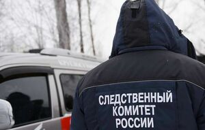 Пойман организатор ячейки