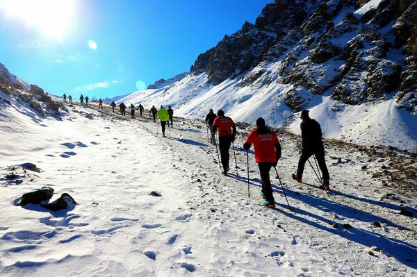 Зачем ходить в горы с котятами