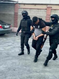 Орудовали с большим размахом